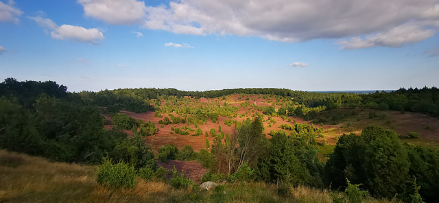 Totengrund