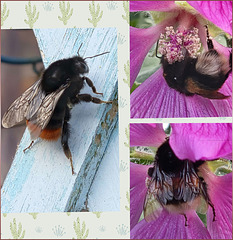 Noch eine letzte Stärkung vor dem Winter.