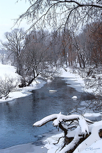 Winter river