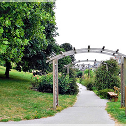 Au parc de Châteauneuf d'Ille et vilaine (35)