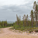 Linkvarnen