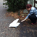 visit from cockatoos