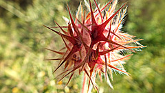 DSCF9979++++