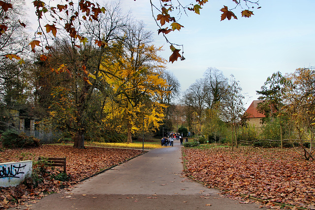 Rombergpark, Dortmund-Brünninghausen / 8.11.2020