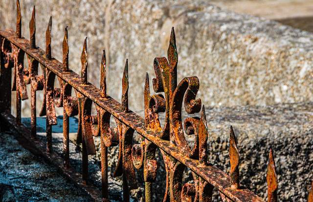 A Fence for Friday