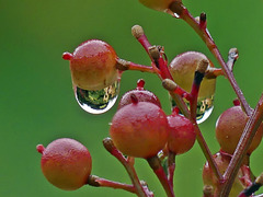 Après la pluie