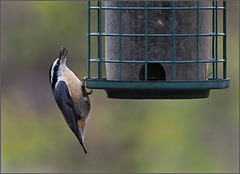 Back again today Back again today