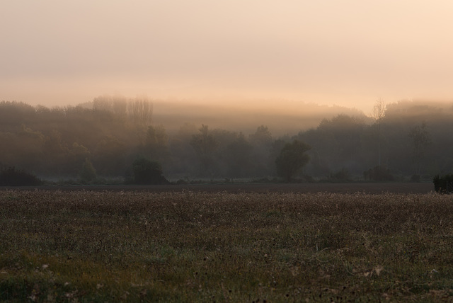 Matin brumeux