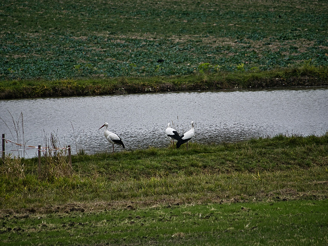 verpasster Abflug?