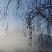 Blick in den Nebel bei Burg Neideck