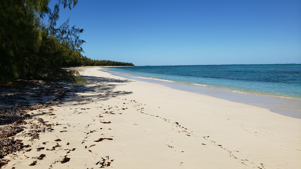 2019.03: TCI: North Caicos