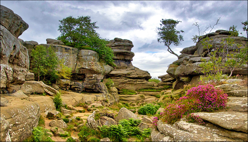 Brimham Rocks