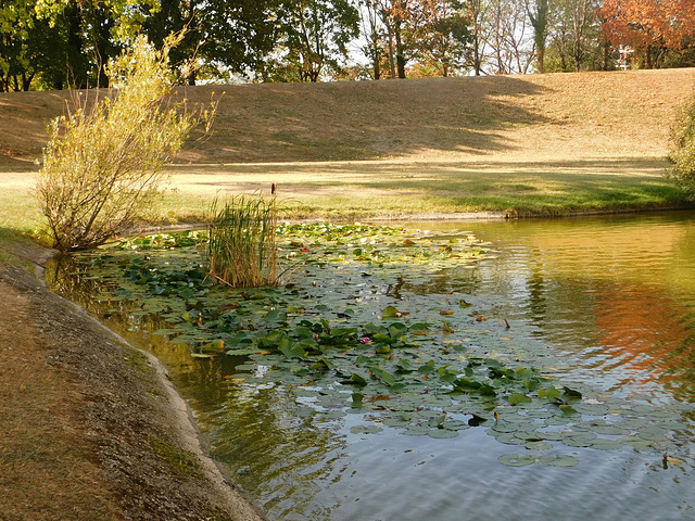 Parc Jean Perdrix à Valence (26)*************