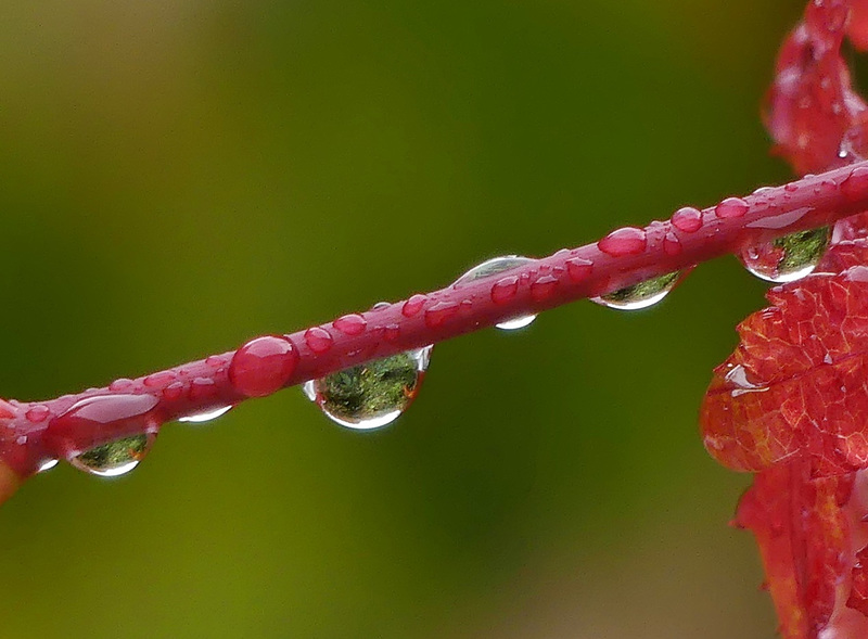 Après la pluie