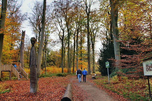 Botanischer Garten Rombergpark (Dortmund-Brünninghausen) / 8.11.2020