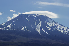 Shasta once more