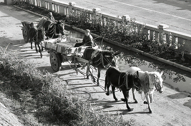 HFF Datong Shanxi China 26th October 1983