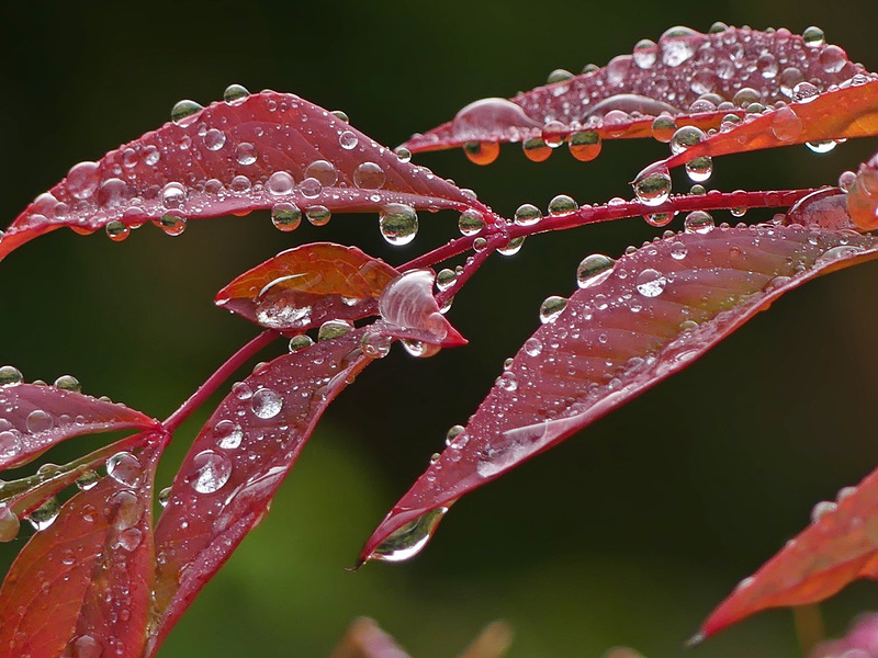 Après la pluie