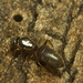 5T2A5364-CR3 DxO DeepPRIME -1Ant
