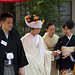 Meiji Jingu 06 - Traditional Shinto Wedding