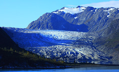 Glacier Bay Favorites31