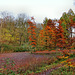 Sumpf im Rombergpark (Dortmund-Brünninghausen) / 8.11.2020