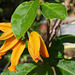 P5210365