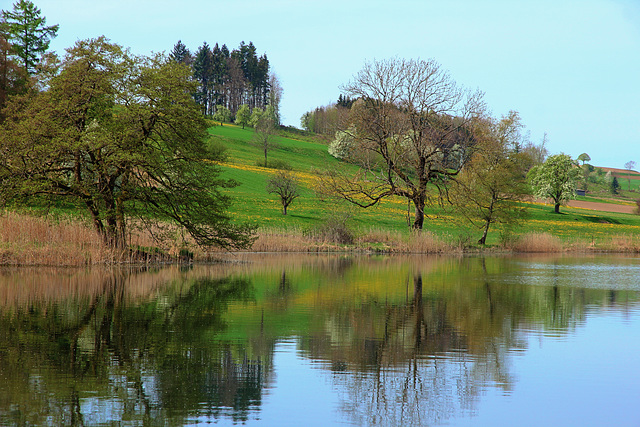 Blick auf das westliche Ufer des Illmensees