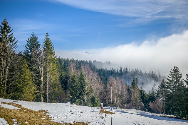 Neureuth 1210 m - Nebel im Tal -HFF