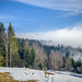 Neureuth 1210 m - Nebel im Tal -HFF