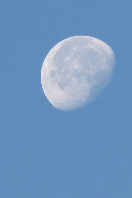 P1070364
