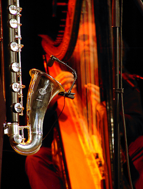 Andreas Vollenweider @ SCALA 1