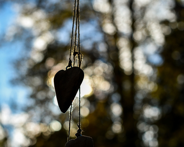 Herbstlichter