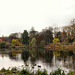 Der große Teich im Rombergpark (Dortmund-Brünninghausen) / 8.11.2020