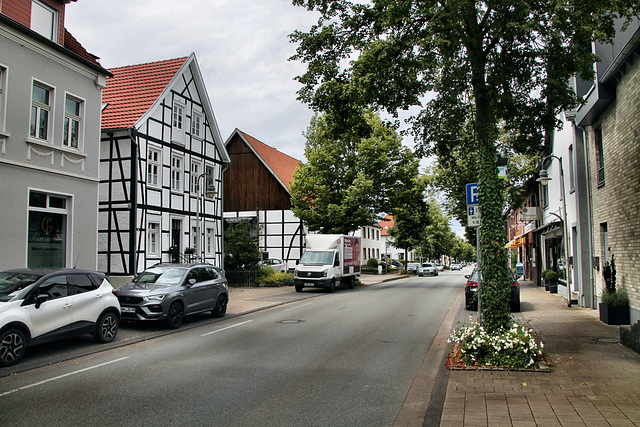 Alte Salzstraße (Hamm-Rhynern) / 6.07.2024