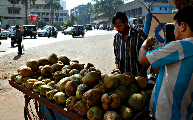 Coconuts