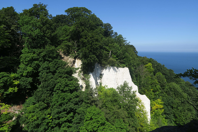 Kreidefelsen Stubbenkammer