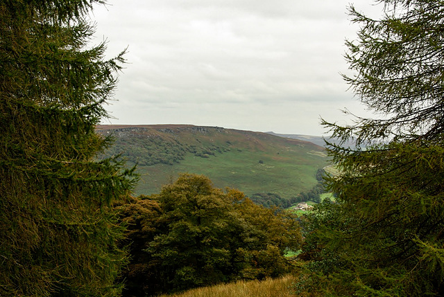 Bamford Edge