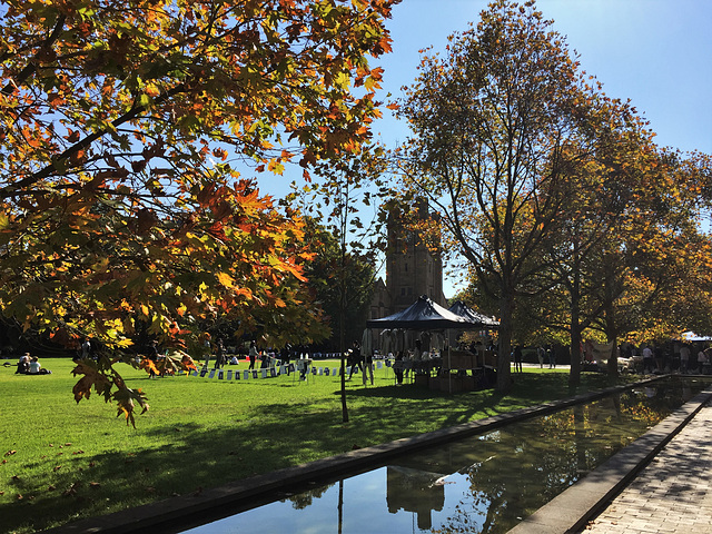 Melbourne Uni campus in autumnal glory