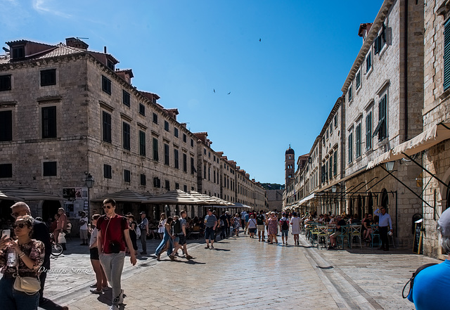 Croatie - Dubrovnik