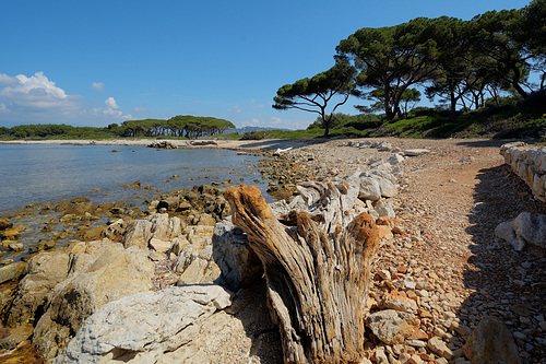 Iles St Margarete, an Island of tranquillity