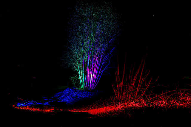 byStudioMT.de (9 von 28) byStudioMT.de (9 von 28)