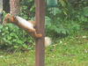 oaw[rsq] - visit B : 5th July 2026 { 3 of 5 }