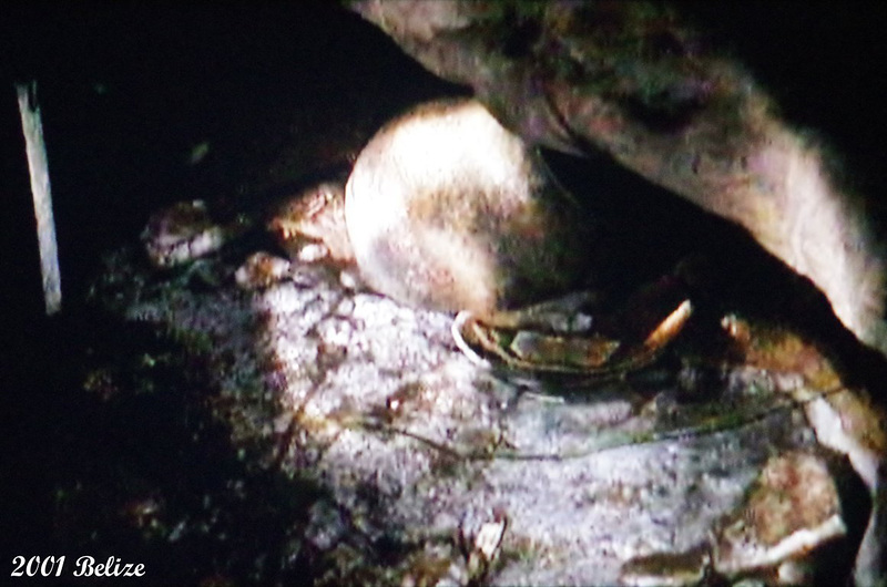 83 Maya Burial Artefacts at side of tunnel