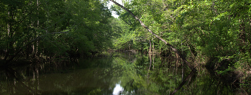 The Battle of Natural Bridge