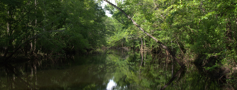 The Battle of Natural Bridge
