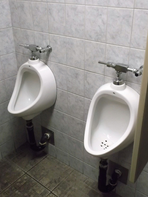 Urinoirs royaux / Royal urinals