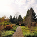 Botanischer Garten Rombergpark (Dortmund-Brünninghausen) / 8.11.2020