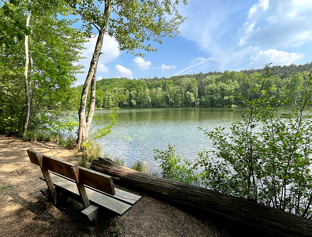 Bank am Obersee