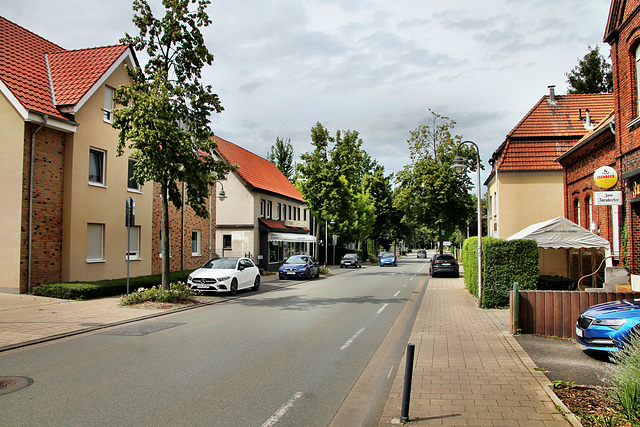 Alte Salzstraße (Hamm-Rhynern) / 6.07.2024